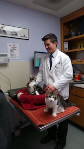 Dr G. With Cats